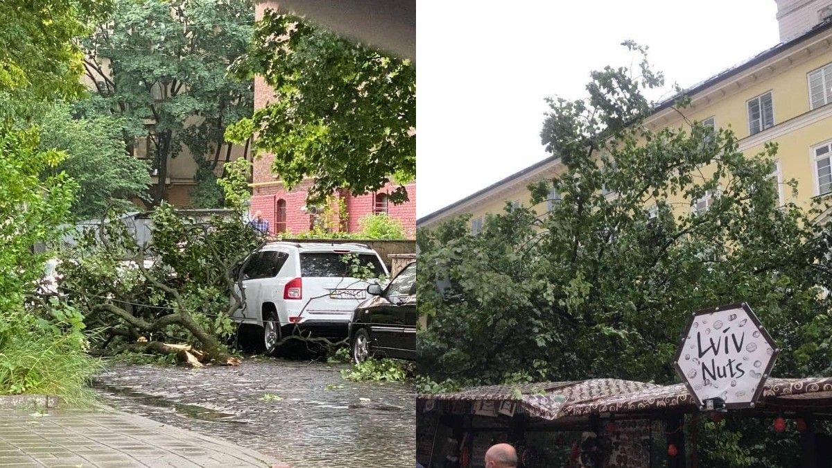 У Львові створили оперативний штаб ліквідації наслідків негоди У Львові створили оперативний штаб ліквідації наслідків негоди