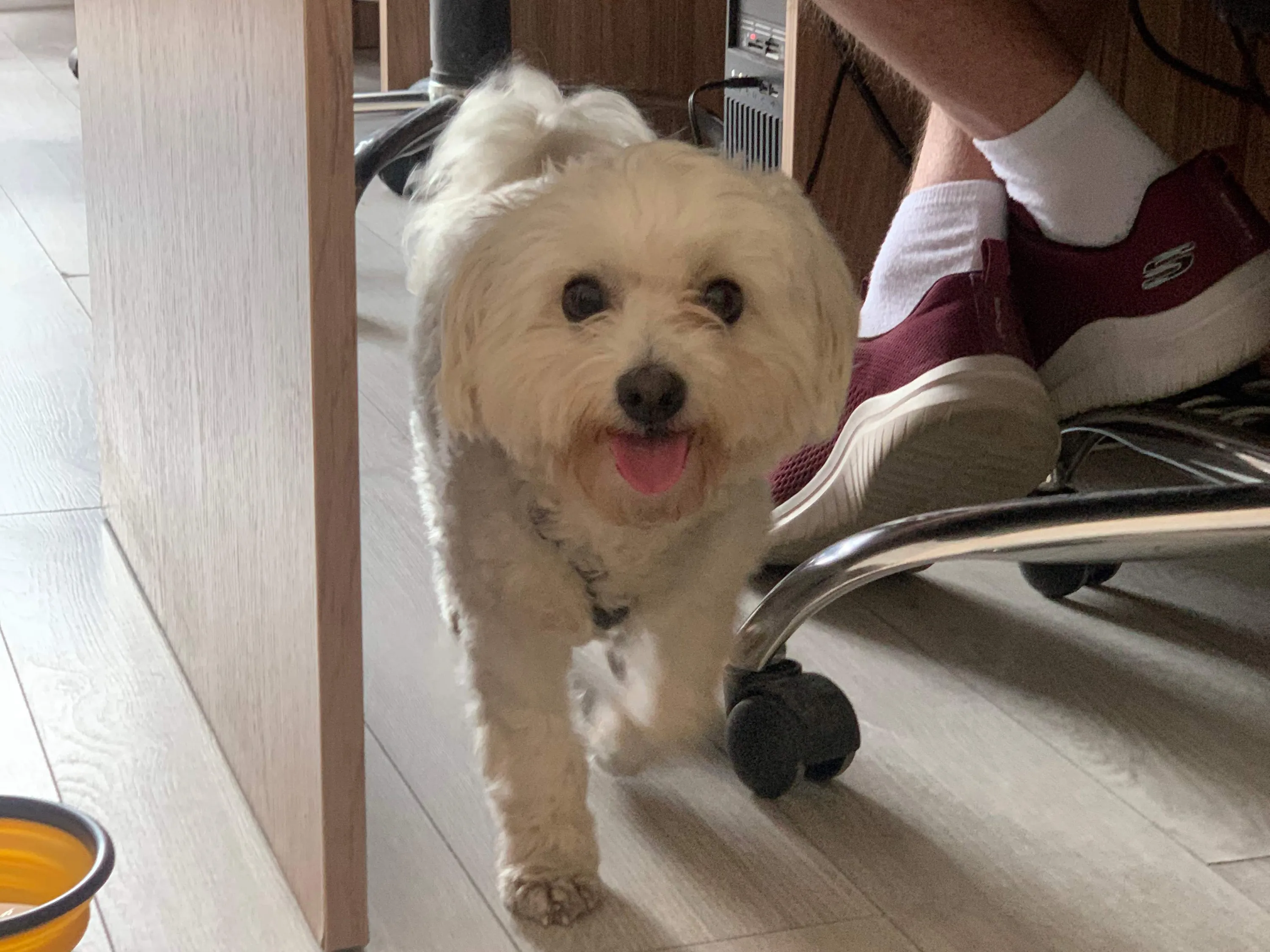 Алекс в редакції 24 каналу