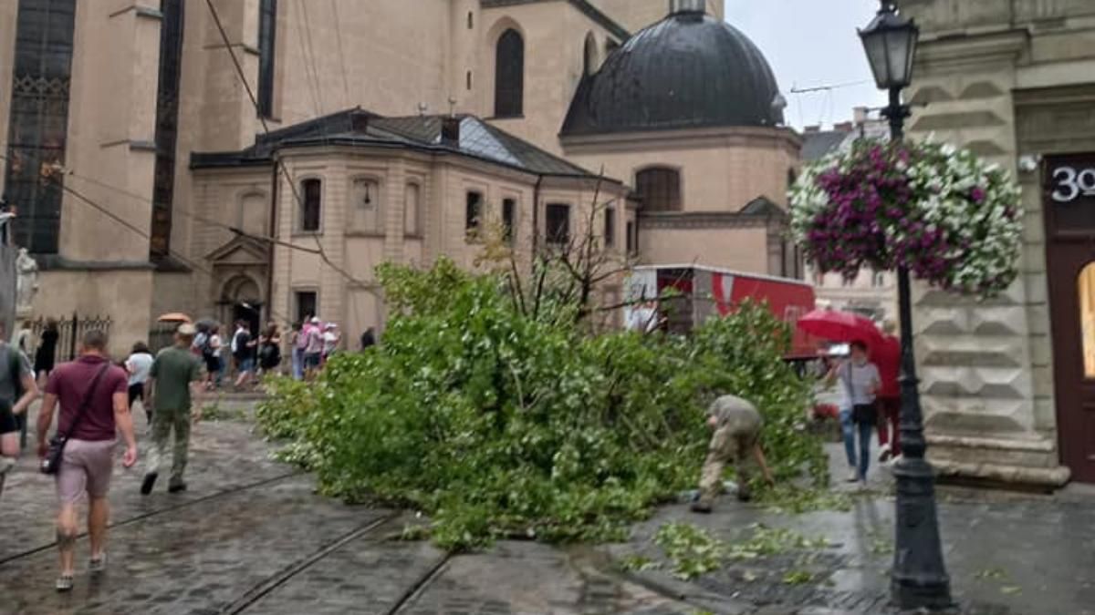 Повалило более полусотни деревьев и затопило дома: подытожили последствия грозы во Львове – фото