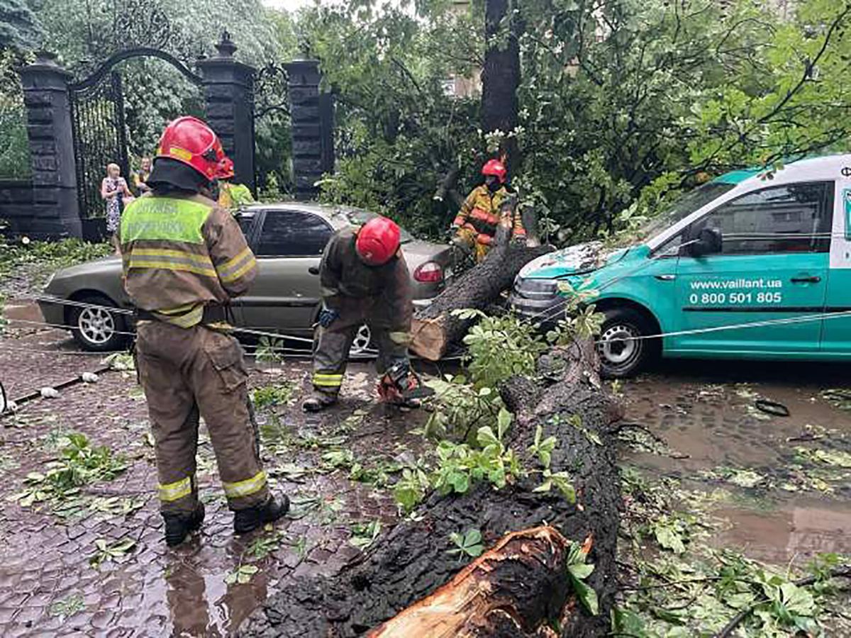 Потоп в Львове: ГСЧС рассказали о последствиях непогоды 25.06.2021