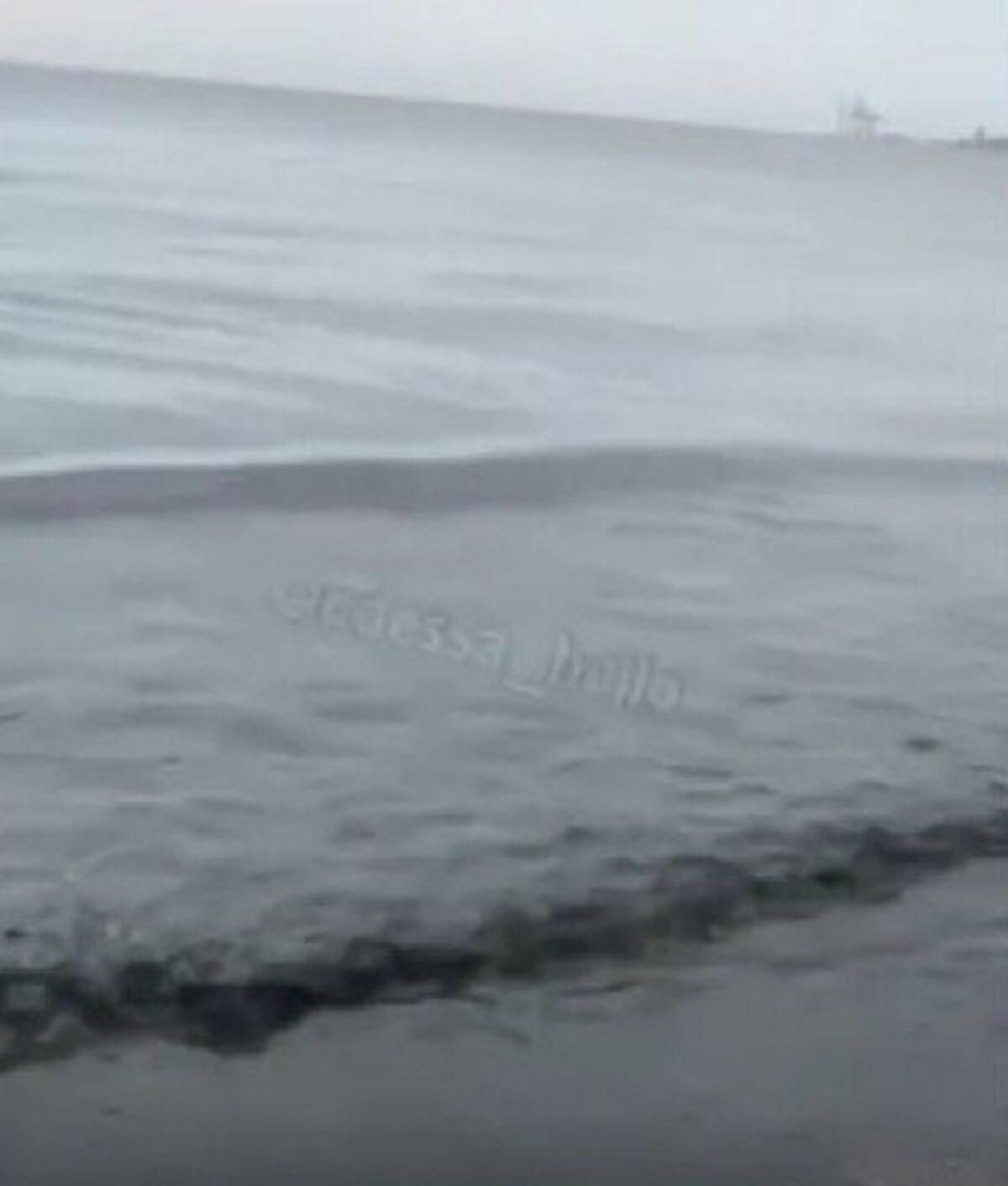 В Одесі море стало чорним: моторошне відео