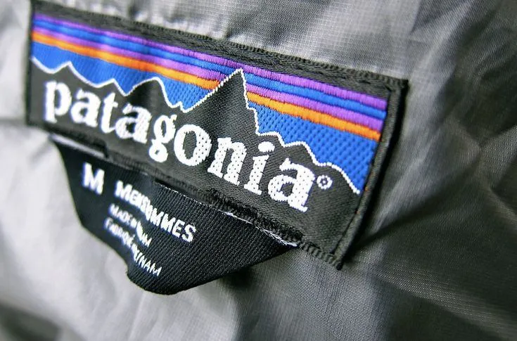 логотип patagonia 