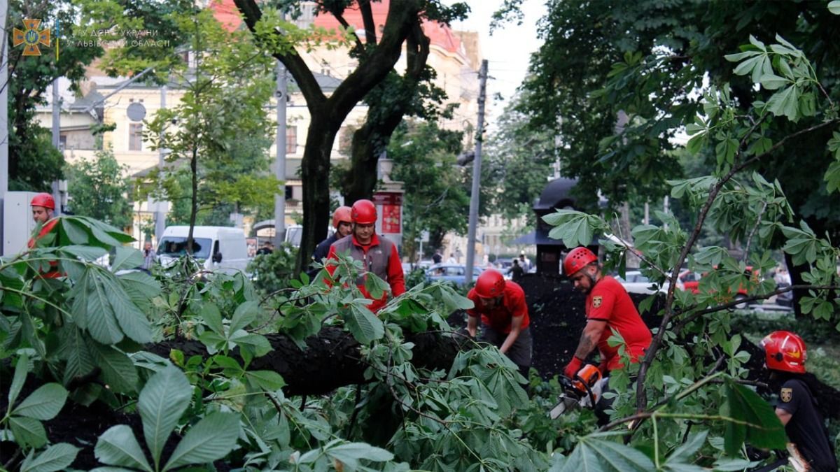 Грози та град: на День Конституції оголосили штормове попередження Грози та град: на День Конституції оголосили штормове попередження