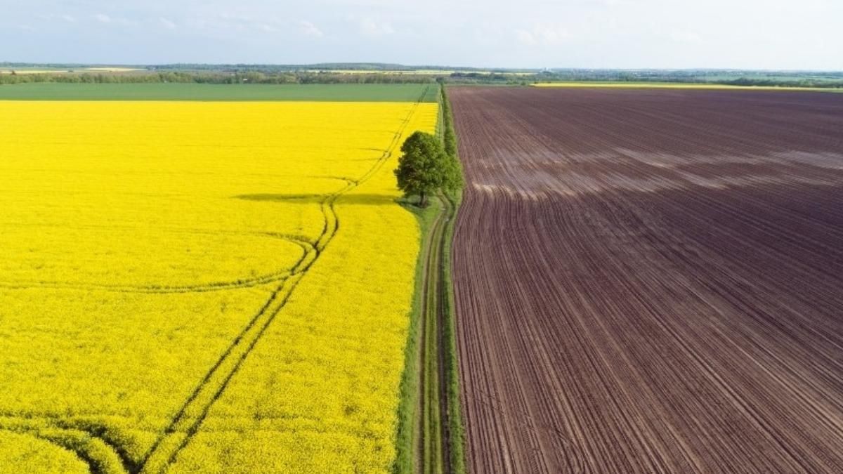 У росіян забиратимуть незаконно куплену українську землю, – Мінагро У росіян забиратимуть незаконно куплену українську землю, – Мінагро