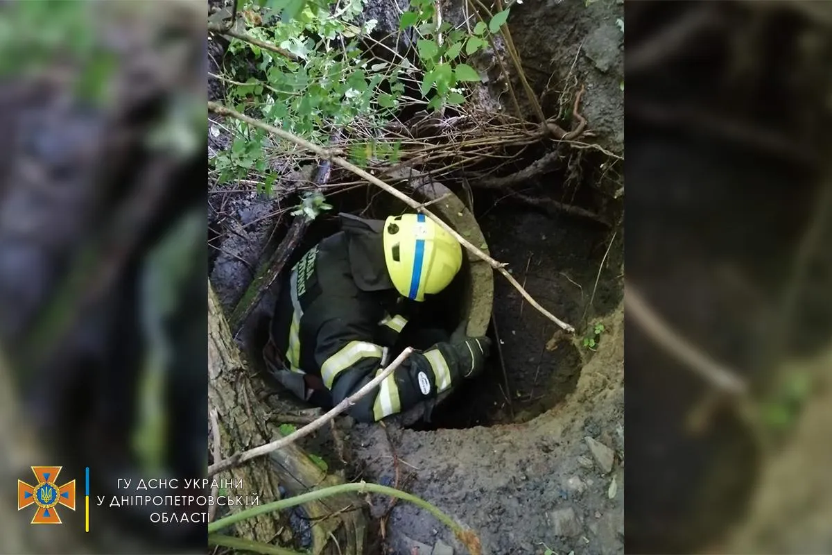 Рятувальник лізе по собаку