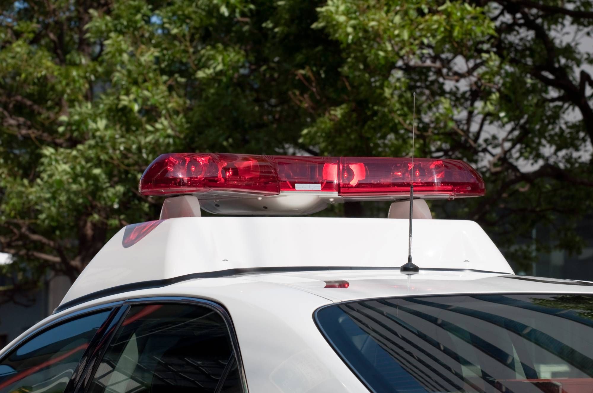 В Японии грузовик въехал в группу детей: есть погибшие и раненые – фото В Японии грузовик въехал в группу детей: есть погибшие и раненые – фото