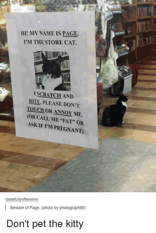 Инструкция к котику Инструкция к котику