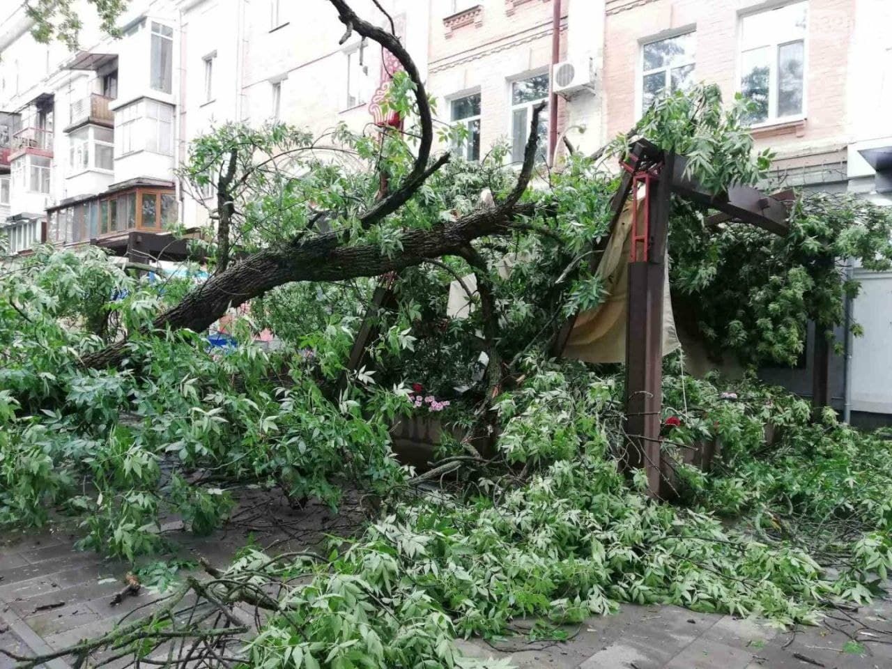 В Полтаве 29.06.2021 шквальный ветер завалил деревья: видео