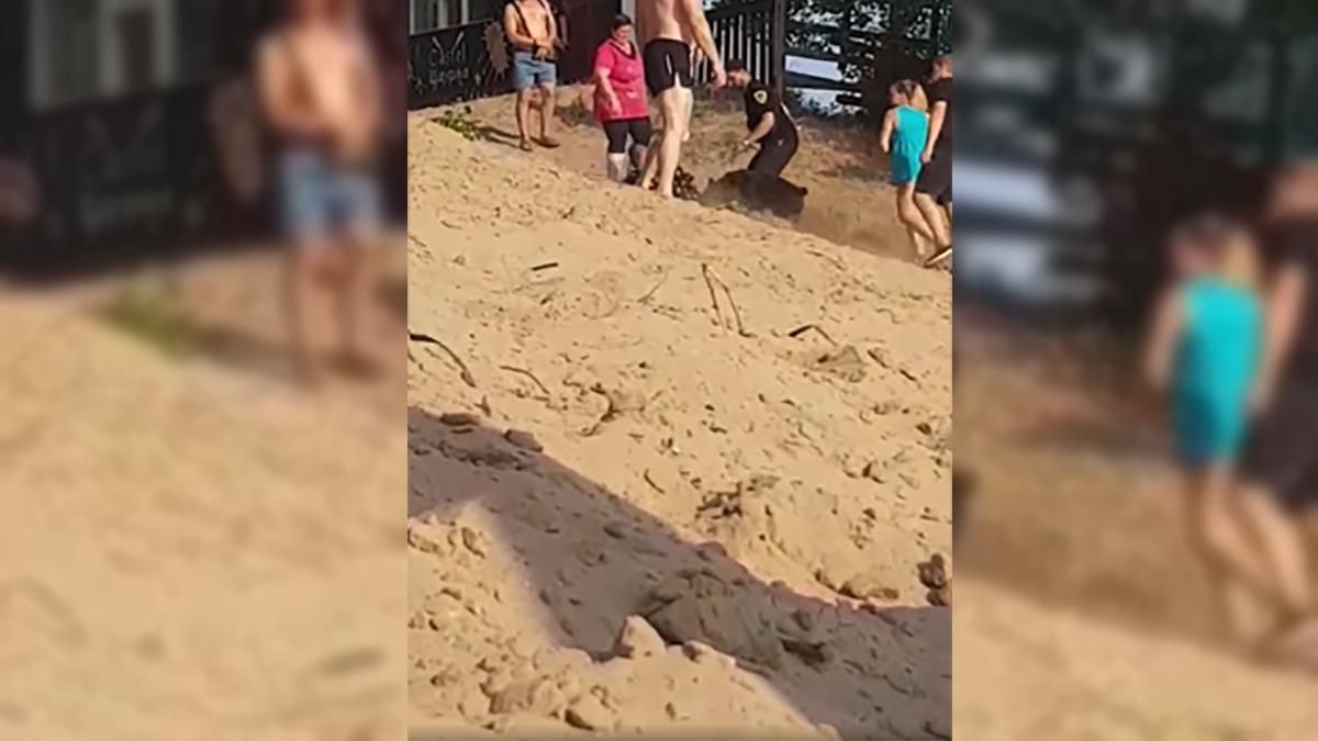 Собака охраны пляжа искусала отдыхающего в Днепропетровской области: видео