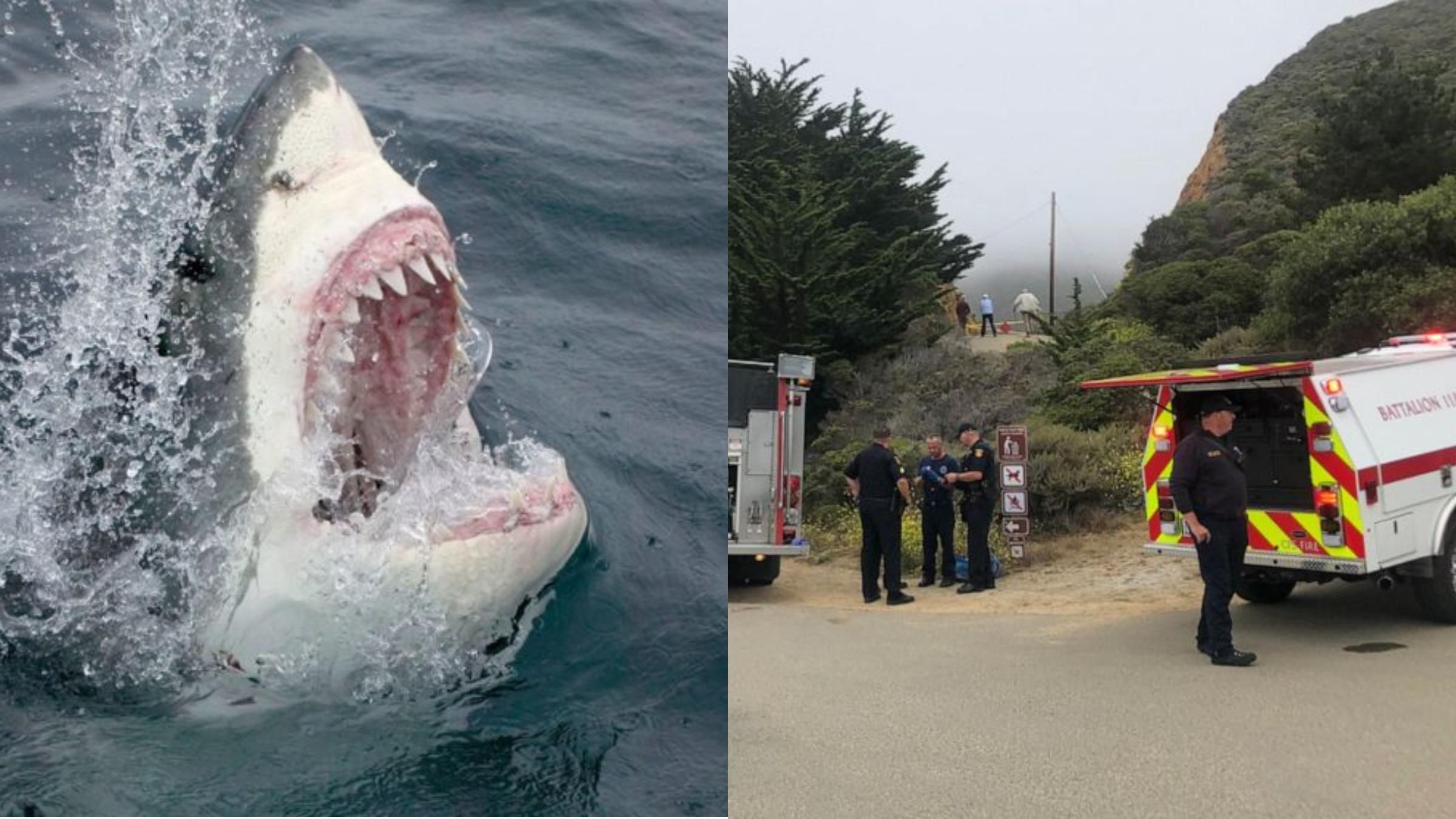 Напад акули у США 26 червня 2021: чоловікові пошматувало ногу Напад акули у США 26 червня 2021: чоловікові пошматувало ногу