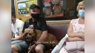 Через бійцівського собаку без намордника: у київському метро посварилися пасажири – відео