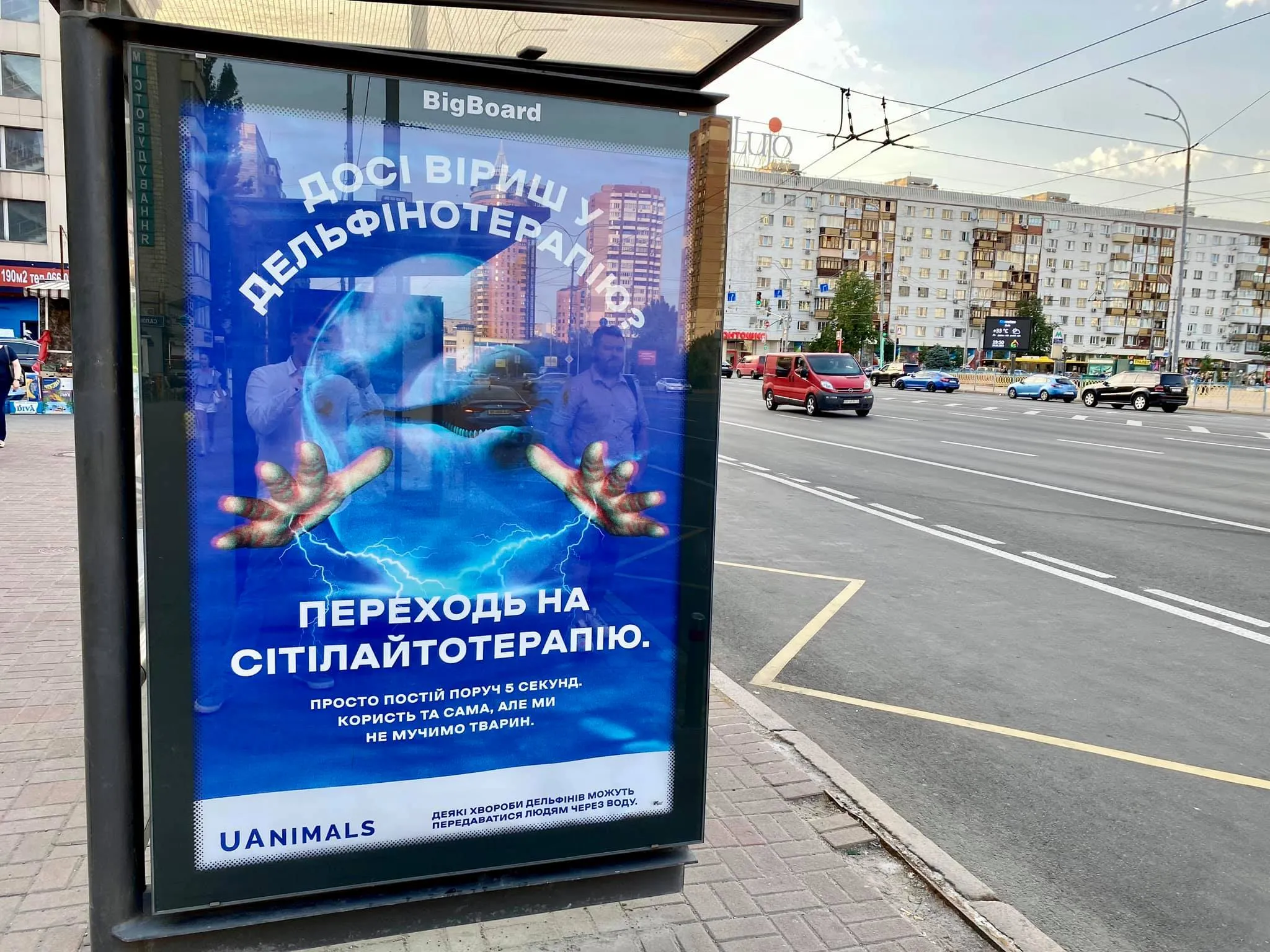 Дельфинотерапия нет никакой пользы Дельфинотерапия нет никакой пользы