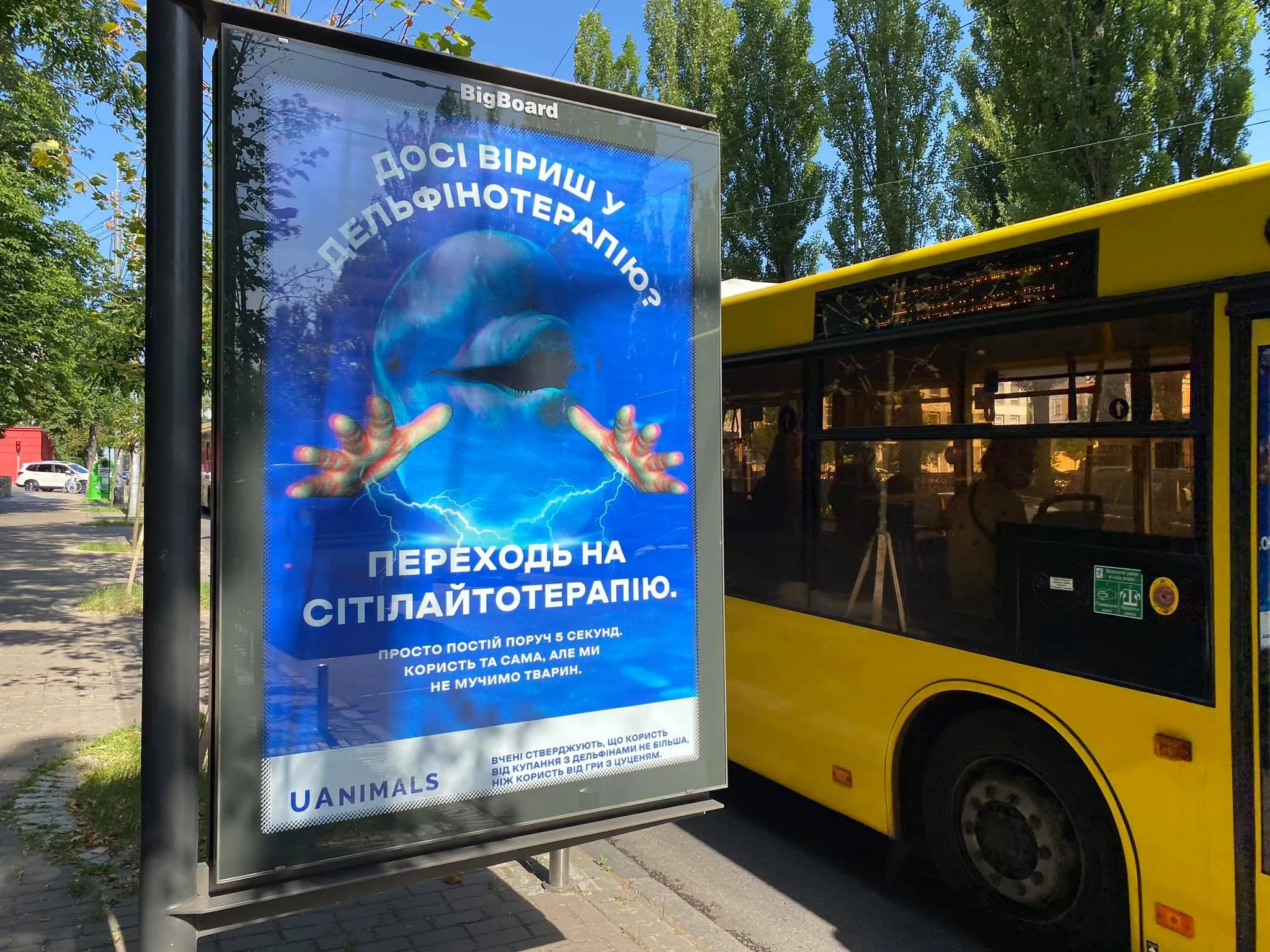 Ситилайты о том, что дельфинатерапия НЕ Лиу Ситилайты о том, что дельфинатерапия НЕ Лиу