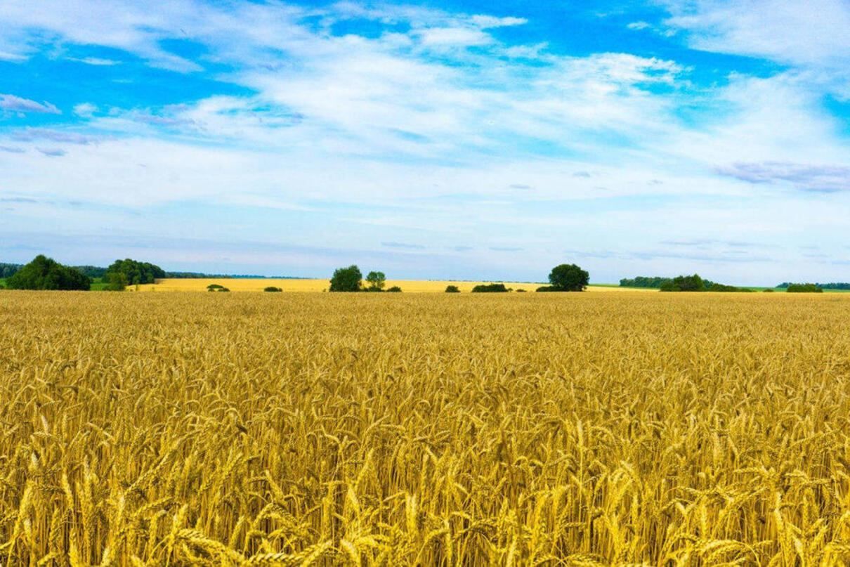 У Мін'юсті розповіли, скільки становитиме податок на купівлю землі 