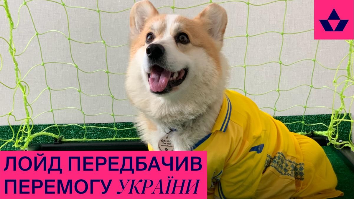 Коргі Лойд спрогнозував перемогу України над Швецією