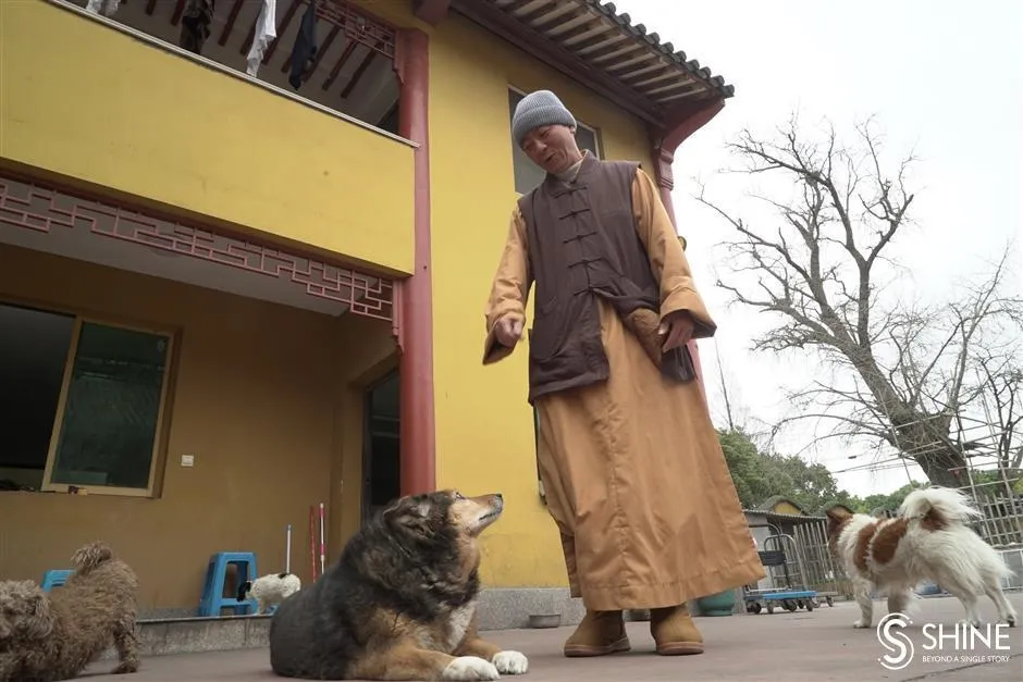 Чжисян рятує тварин Чжисян рятує тварин