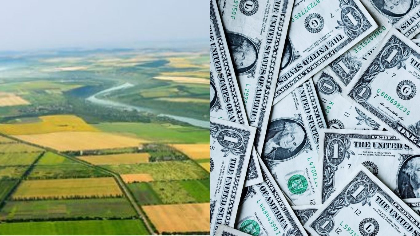 Справедливая стоимость украинской земли может составлять 5 тысяч долларов, – Ливч