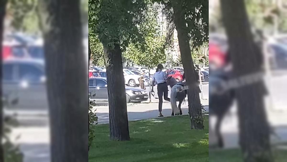 У Харкові б'ють поні, який катає людей: відео У Харкові б'ють поні, який катає людей: відео