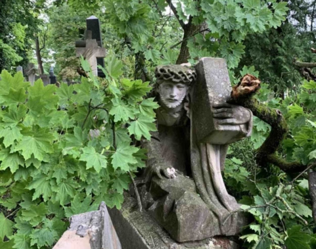 Разбились более 100 надгробий: во Львове ураган нанес огромные убытки Лычаковском кладбищу 