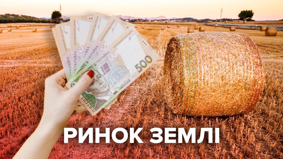 Рынок земли 2021 в Украине открылся: цена и прогноз