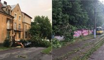 "Апокалипсис" во Львове: как город оправляется от урагана и сильного ливня – видео