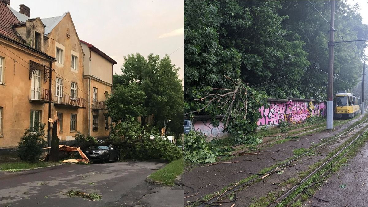 Ураган во Львове: как город борется с последствиями непогоды