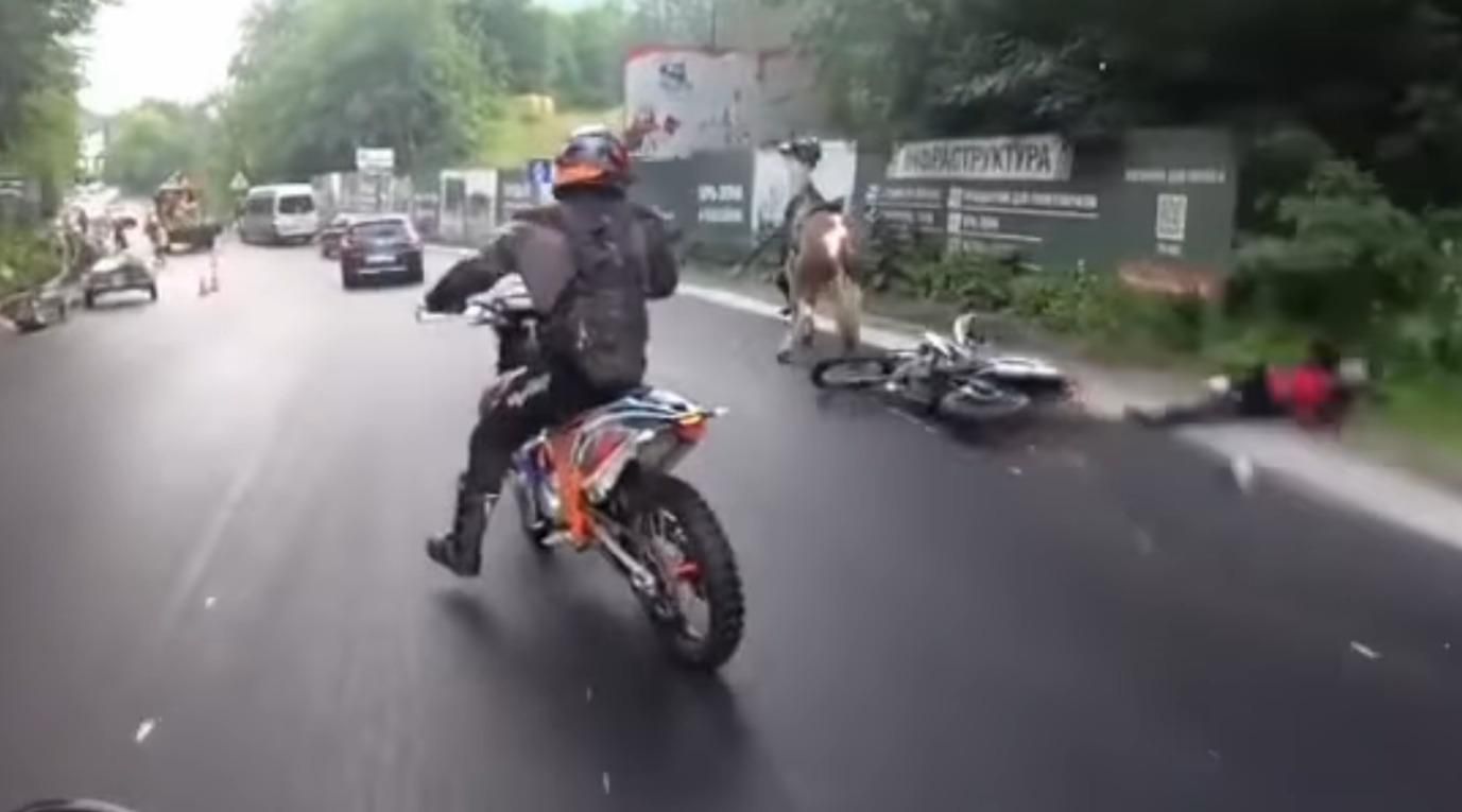 ДТП в Яремче с лошадью и мотоциклами: видео