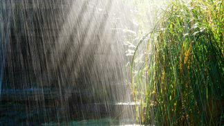 Прогноз погоды на 4 июля: грозы не отступают