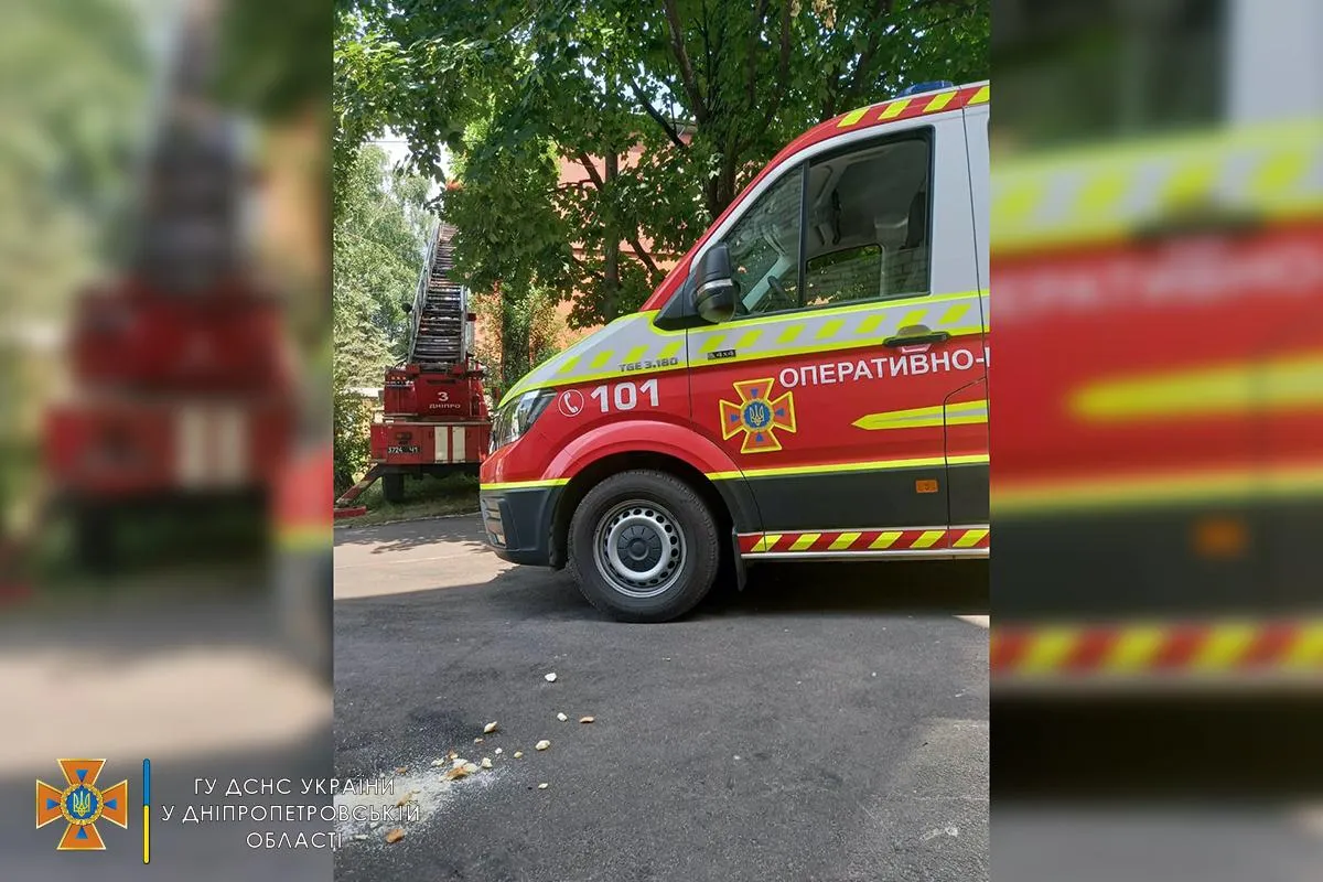 Дикі бджоли, рій диких бджіл, житловий будинок, новини Дніпра, ДСНС