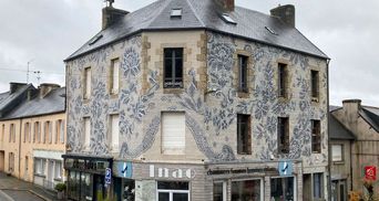 Художница разрисовала фасад дома во Франции изысканным кружевом XIX века