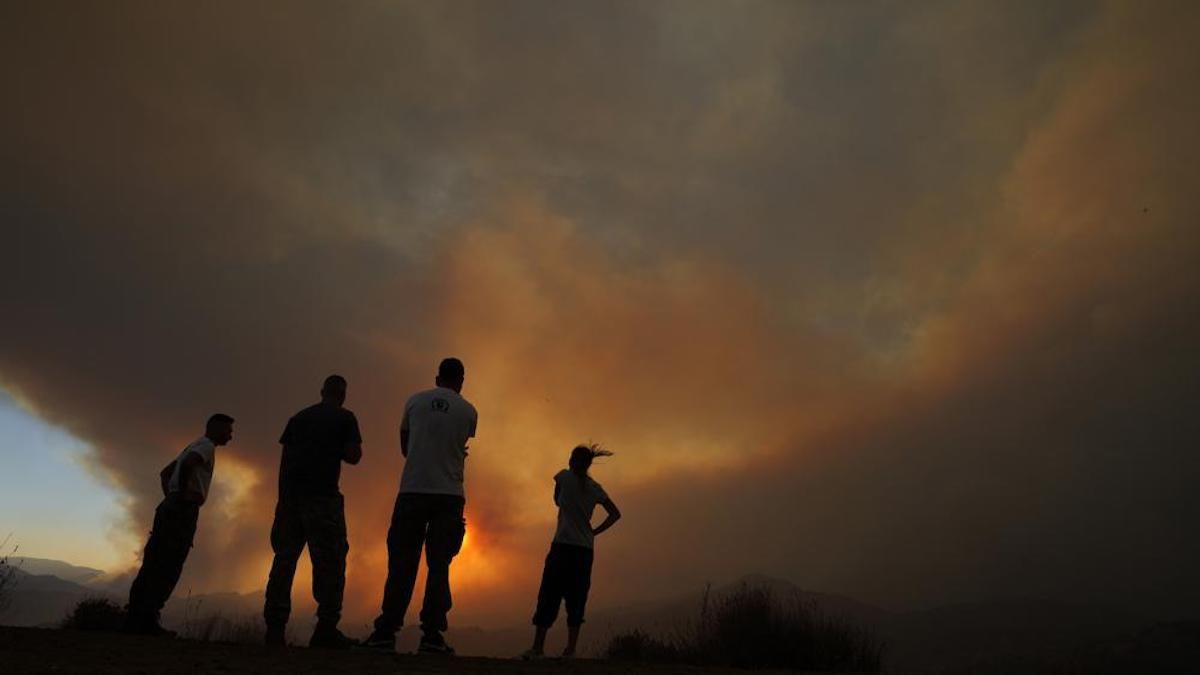 На Кіпрі вирує масштабна лісова пожежа: країна просить допомоги – фото