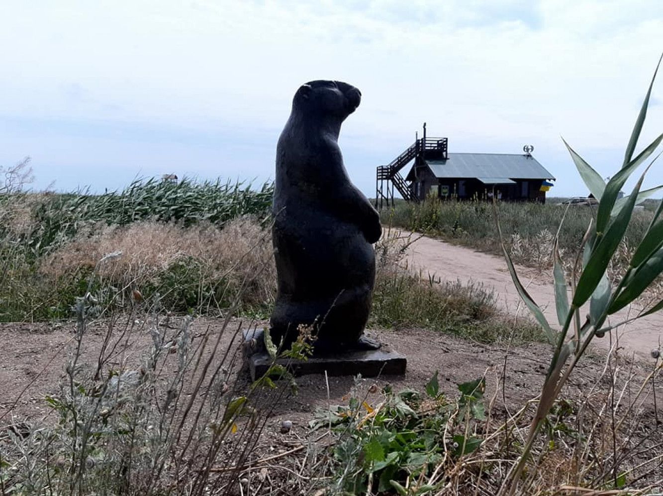 Тузловские лиманы: в нацпарке установили скульптуру сурка – фото Тузловские лиманы: в нацпарке установили скульптуру сурка – фото