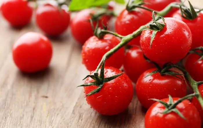 Помідор Помідор