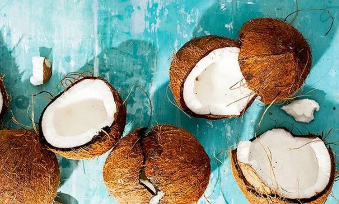 Авокадо Авокадо