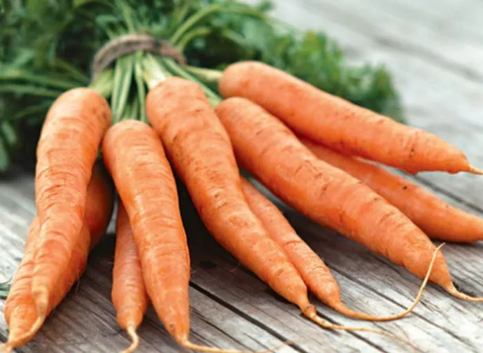 Морква Морква