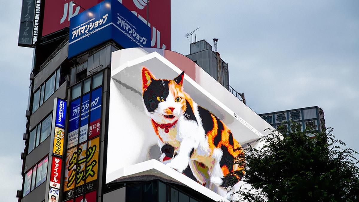 У Токіо з'явився величезний 3D-білборд з котиком