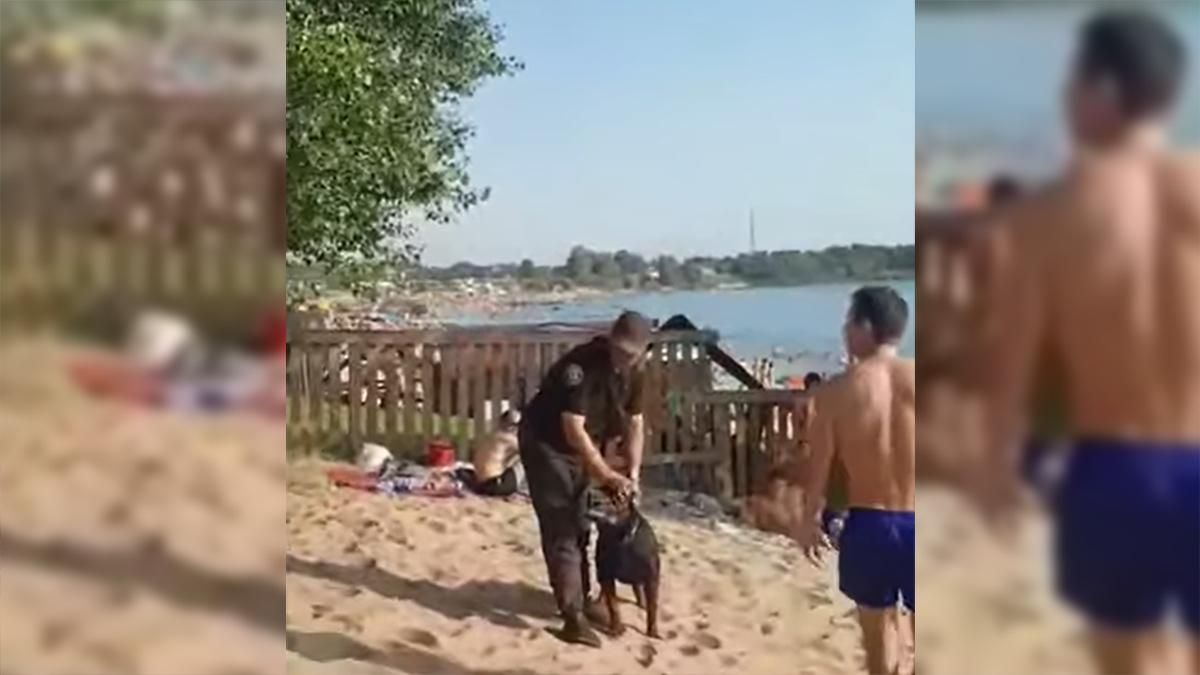 На відпочивальника спустили пса на Дніпропетровщині: назвали причину