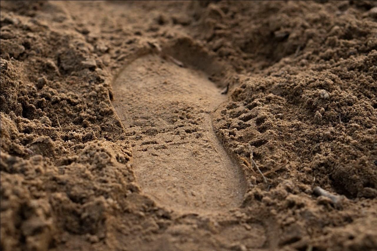 Сравнительный анализ почвы: анализ почвы поможет найти преступника
