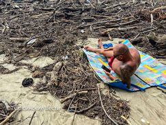 Туристы в Сочи загорают на пляже среди кучи мусора: фото