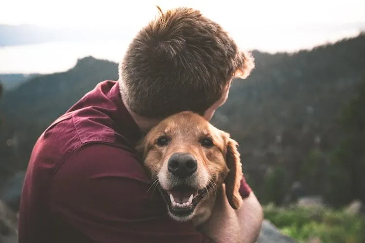 История дружбы человека и собаки
