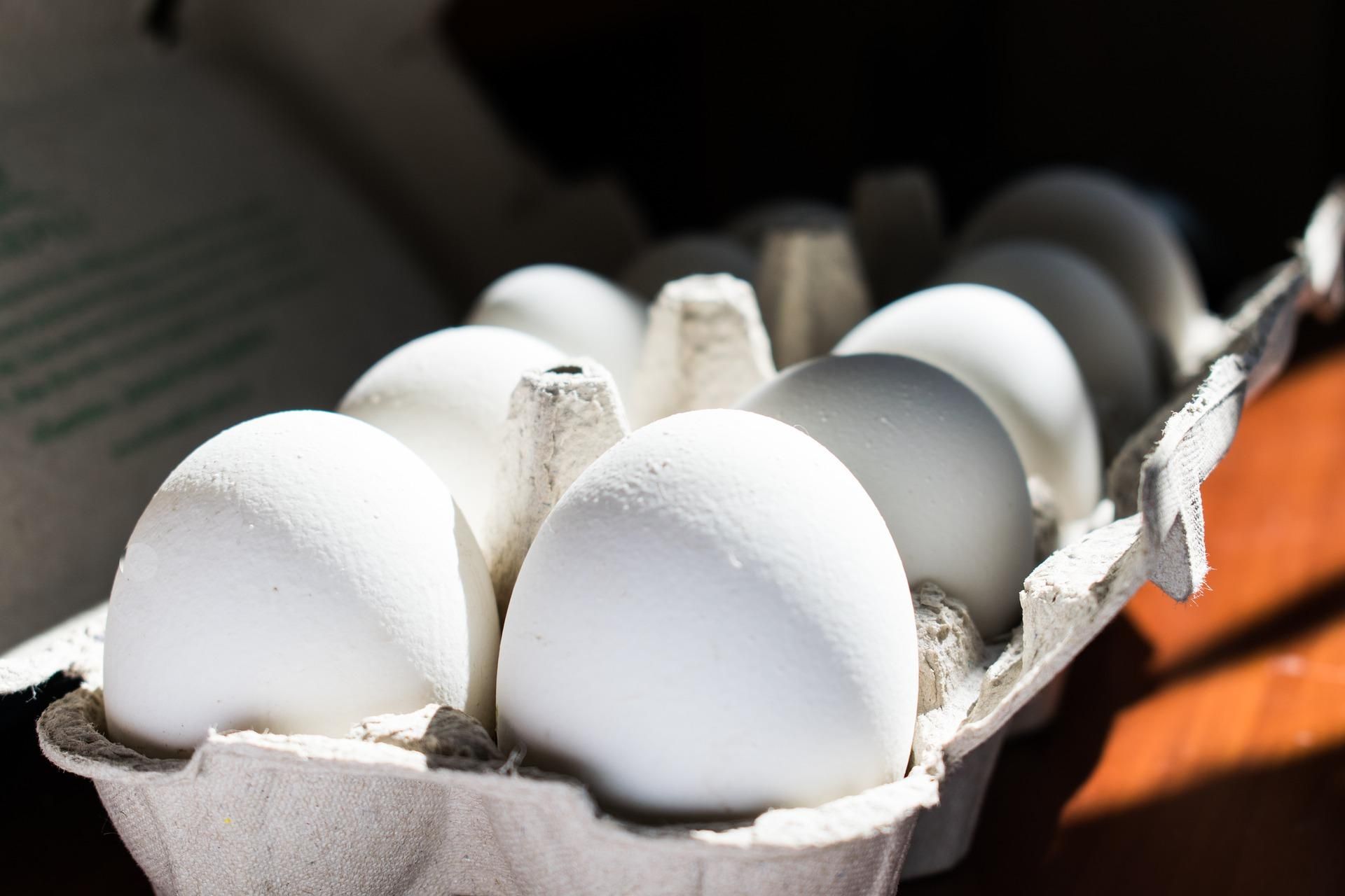 Цена яиц в Украине 