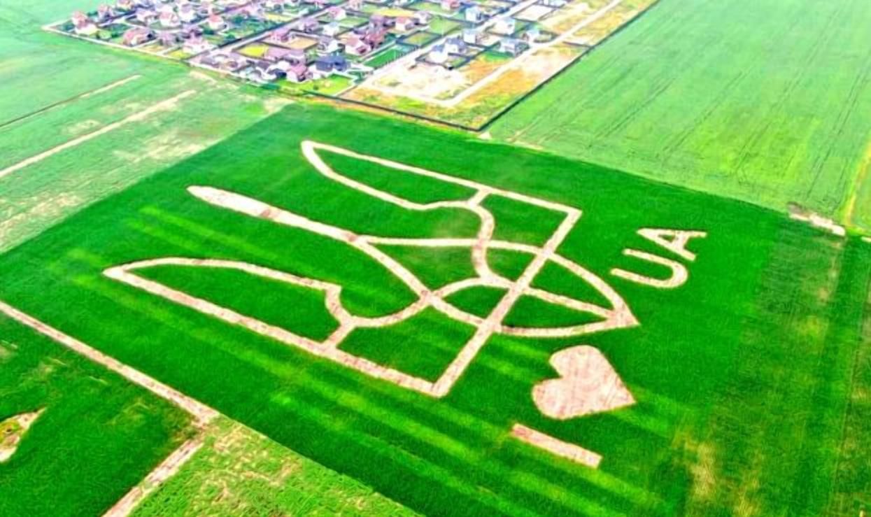 Самый большой полевой герб и технологии: в Украине зарегистрировали уникальный рекорд