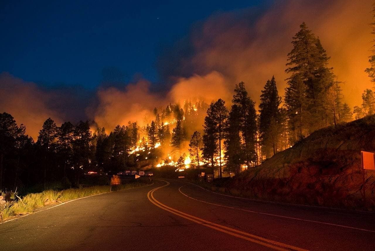 У Росії масштабна пожежа: горить понад 900 гектарів лісу – фото, відео