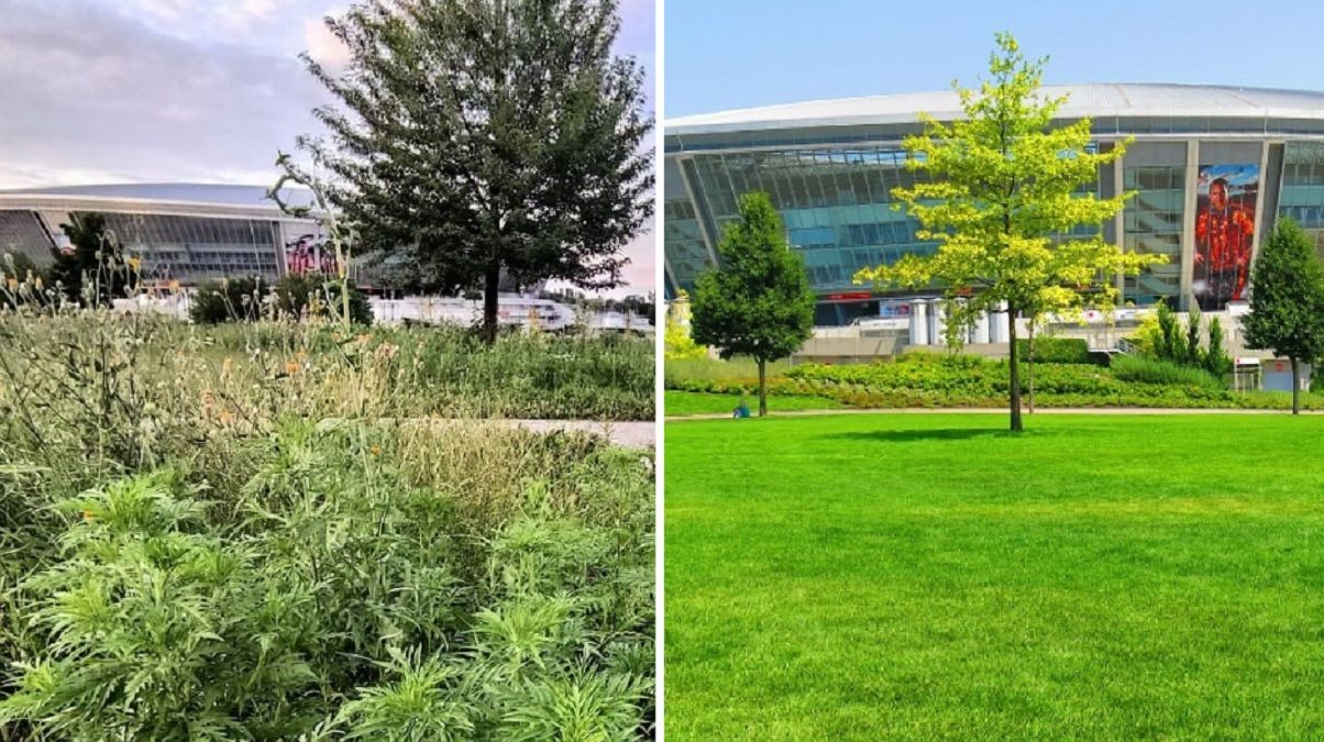 Як зараз виглядає парк біля Донбас Арени: фото Як зараз виглядає парк біля Донбас Арени: фото