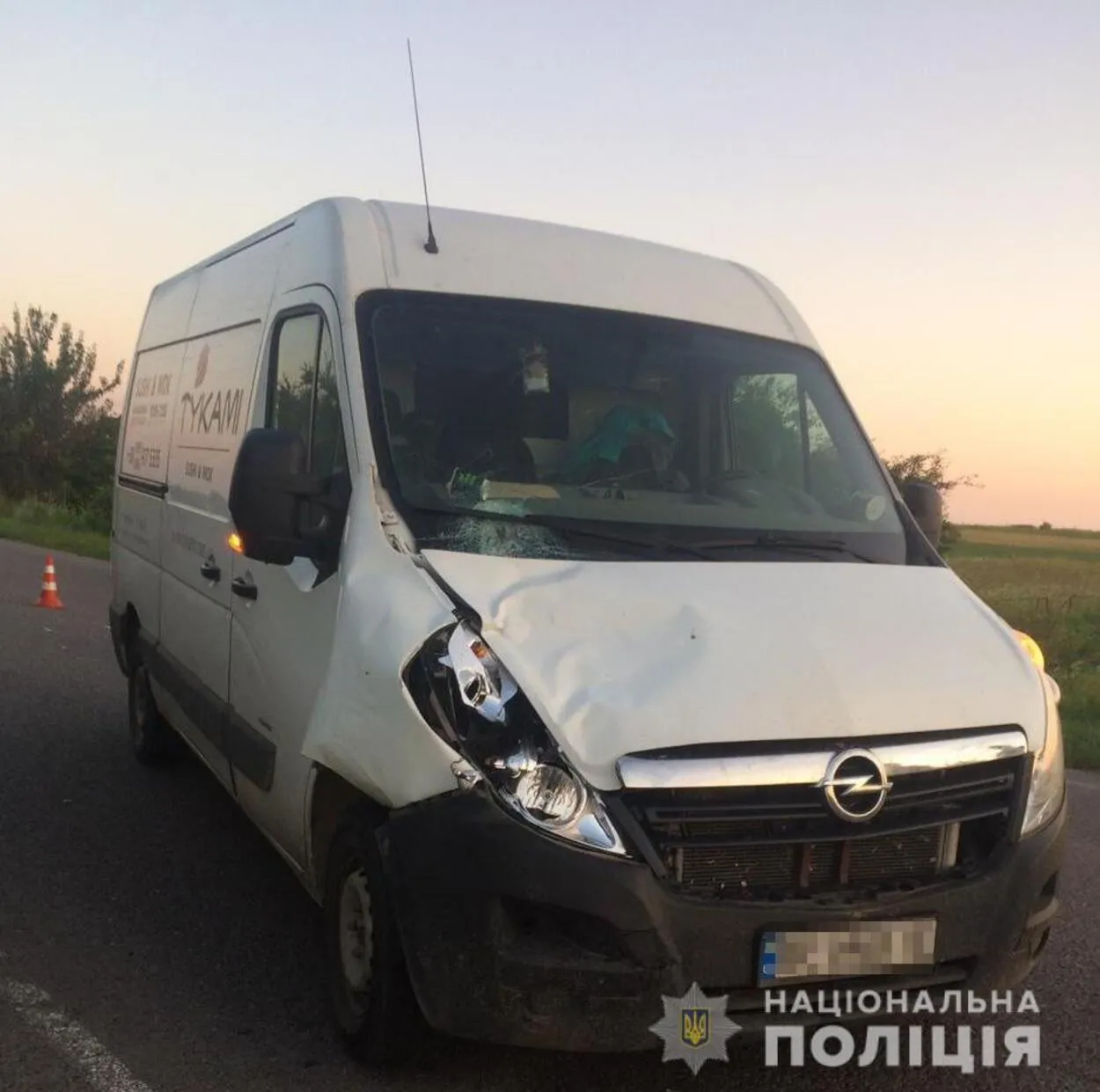 На Львівщині водій мікроавтобуса на смерть збив чоловіка: фото