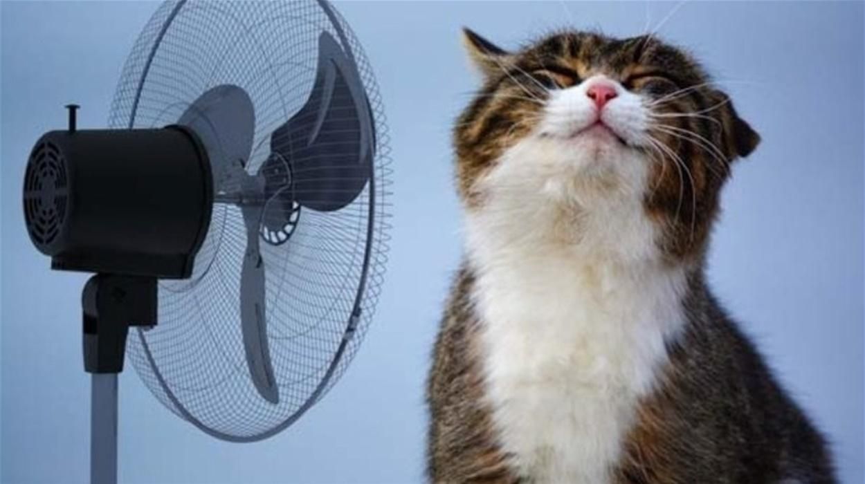 Погода 11 липня 2021: прогноз від синоптиків України Погода 11 липня 2021: прогноз від синоптиків України