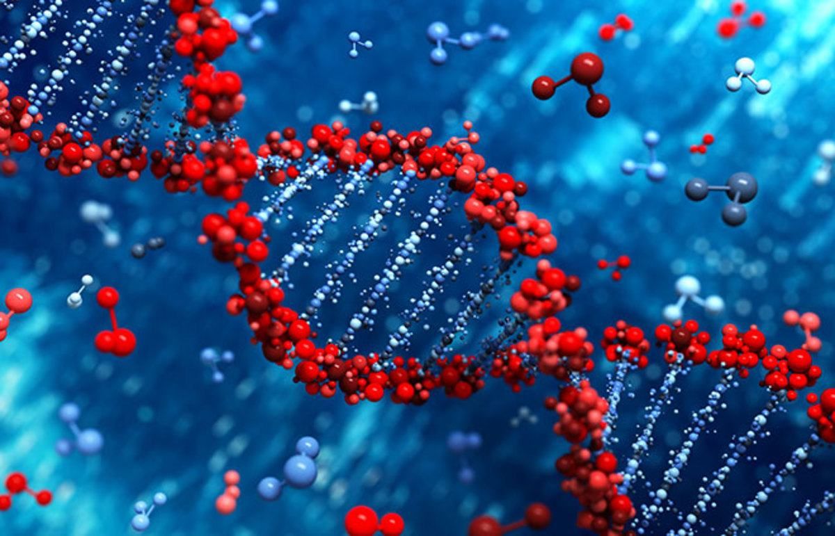 Ген ваги: вчені знайшли ген, який не дає набрати вагу Ген ваги: вчені знайшли ген, який не дає набрати вагу