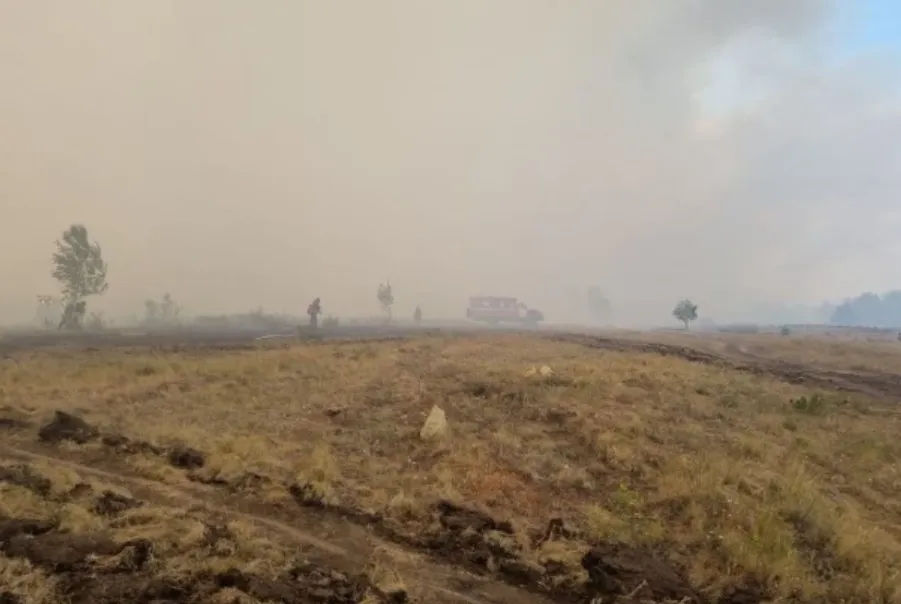 Лісові пожежі у Росії Лісові пожежі у Росії