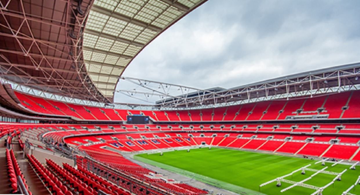 В Англії бояться, що летючі мурахи зірвуть фінал Євро-2020 В Англії бояться, що летючі мурахи зірвуть фінал Євро-2020