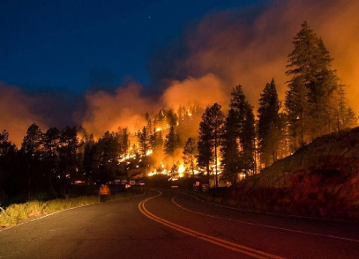 В России бушуют масштабные лесные пожары: есть первая жертва